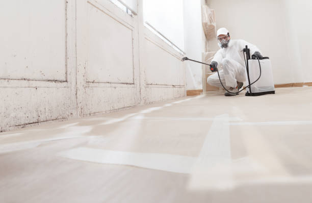 24/7 Emergency Attic Mold Removal experts in Medfield, MA